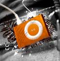 A picture of an Ipod Shuffle